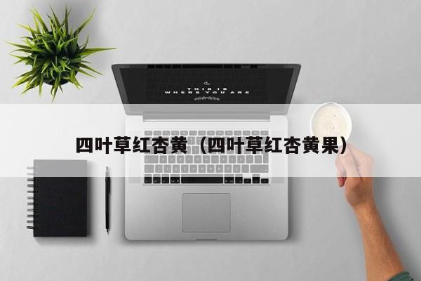 四叶草红杏黄（四叶草红杏黄果）