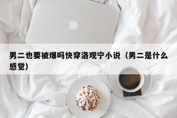 男二也要被爆吗快穿洛观宁小说（男二是什么感觉）