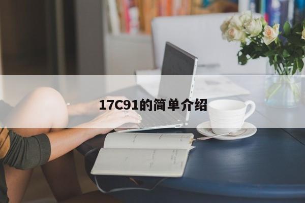 17C91的简单介绍