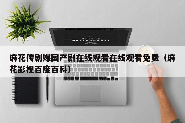 麻花传剧媒国产剧在线观看在线观看免费（麻花影视百度百科）