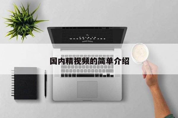 国内精视频的简单介绍